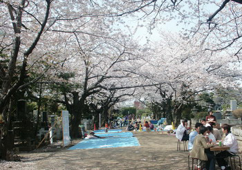 Aoyama, Tokyo